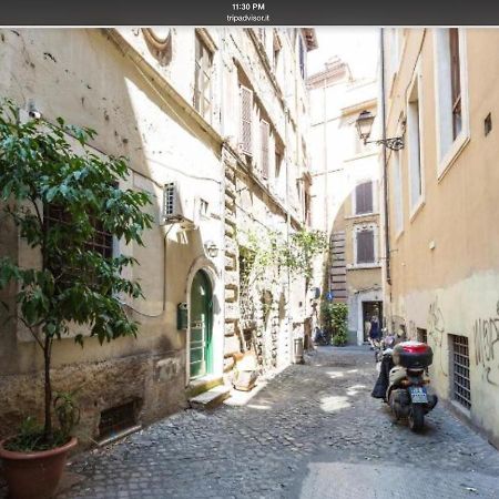 Navona Sunshine Big Terrace Daire Roma Dış mekan fotoğraf